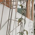 Larium - Bed & Breakfast