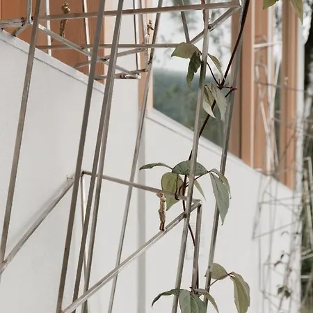 Larium - Bed & Breakfast