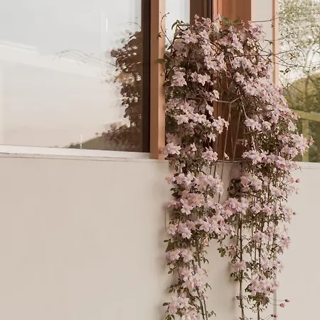 Larium - Bed & Breakfast 4*