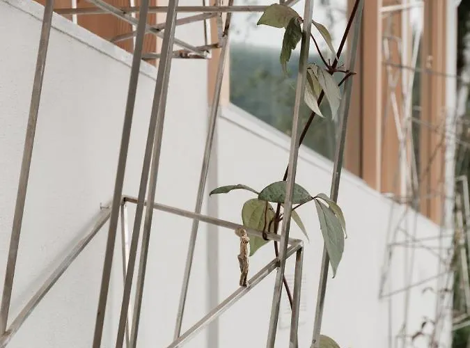 Larium - Bed & Breakfast