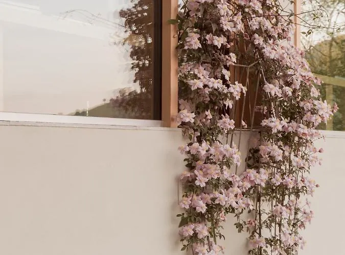 Larium - Bed & Breakfast 4*